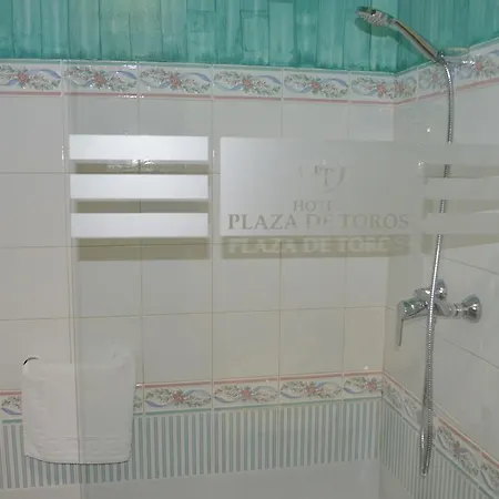 Plaza De Toros 3* Ронда